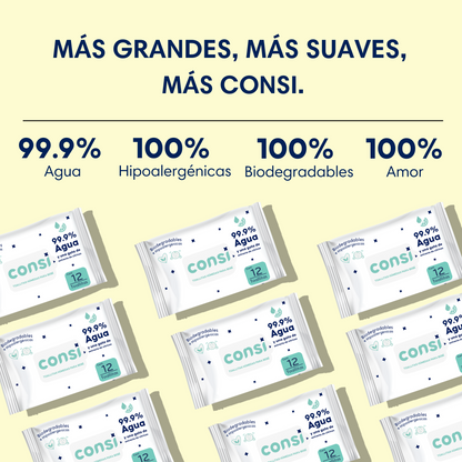 Toallitas Húmedas Para Bebé - Travel Pack | 12 Pack (12 Toallitas Cada Uno)